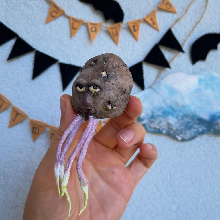 543342477_17876319573405253_1429498784467755242_n